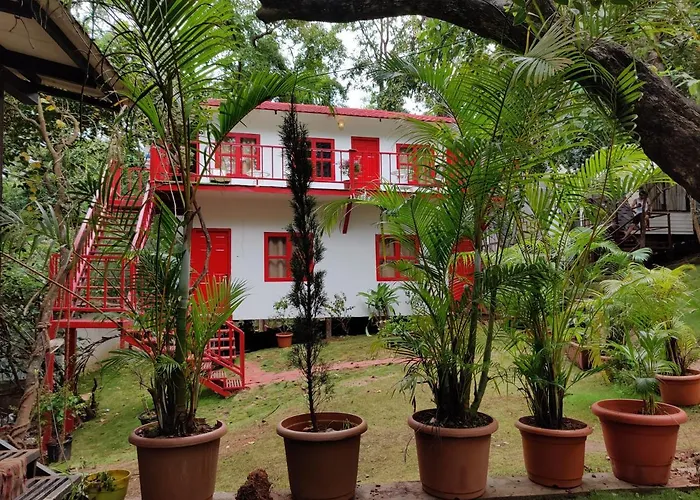 Xoxo Hostel Anjuna
